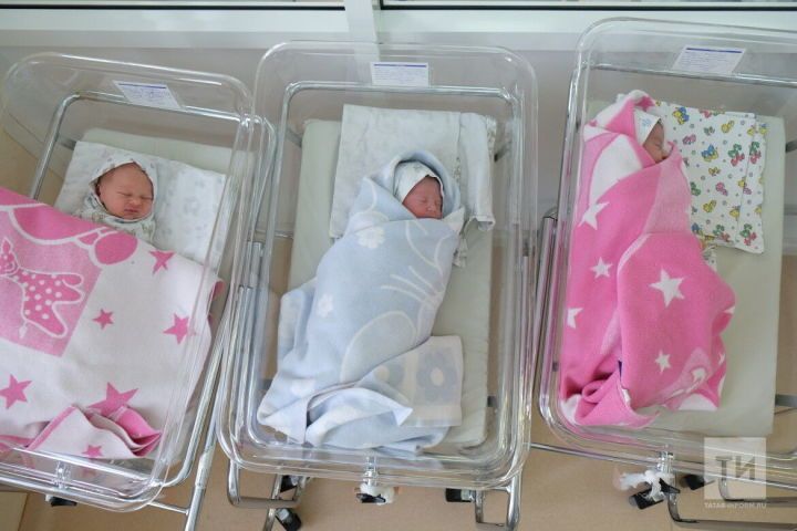 Какие имена дают агрызцы новорожденным детям