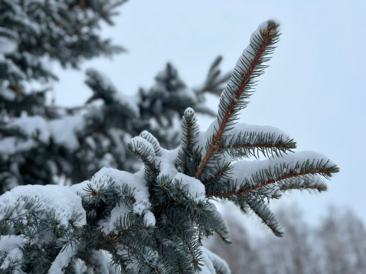 Прогноз погоды на 31 января