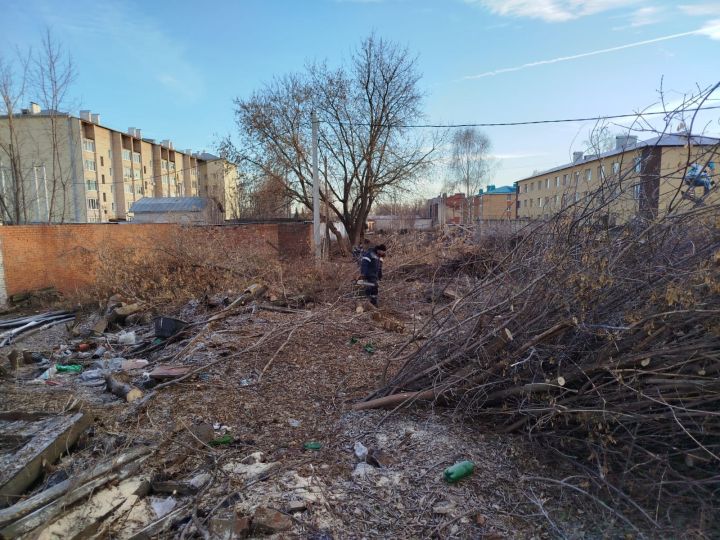 В Агрызе продолжается масштабная работа по расчистке бурьянов и зарослей клена