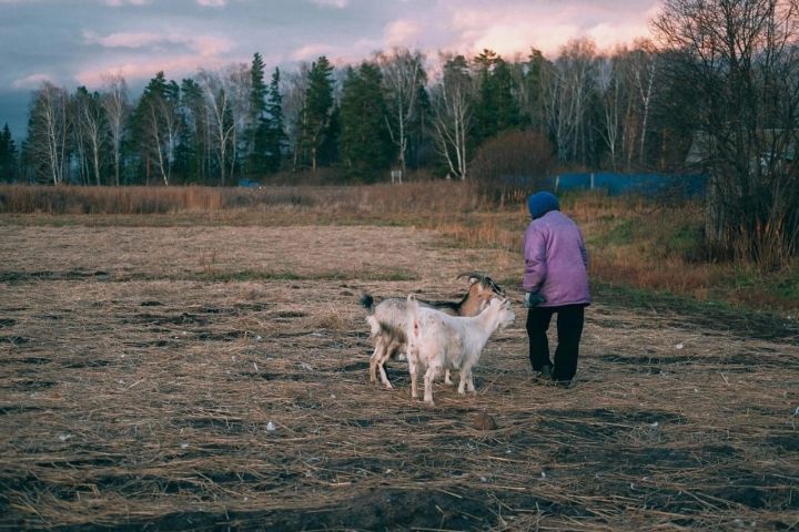 Зульфира Тайганова из Иж-Байков: Козы – очень умные животные, которые не доставляют лишних хлопот