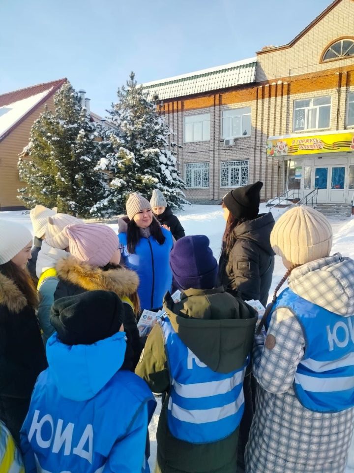 В Агрызе прошла акция «Пешеход»