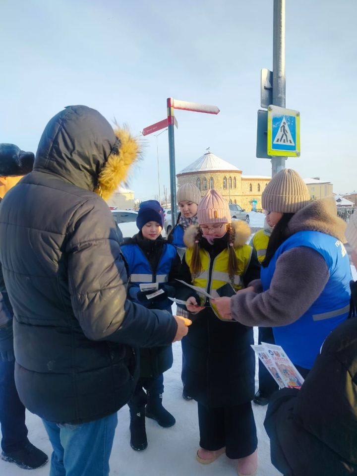 В Агрызе прошла акция «Пешеход»