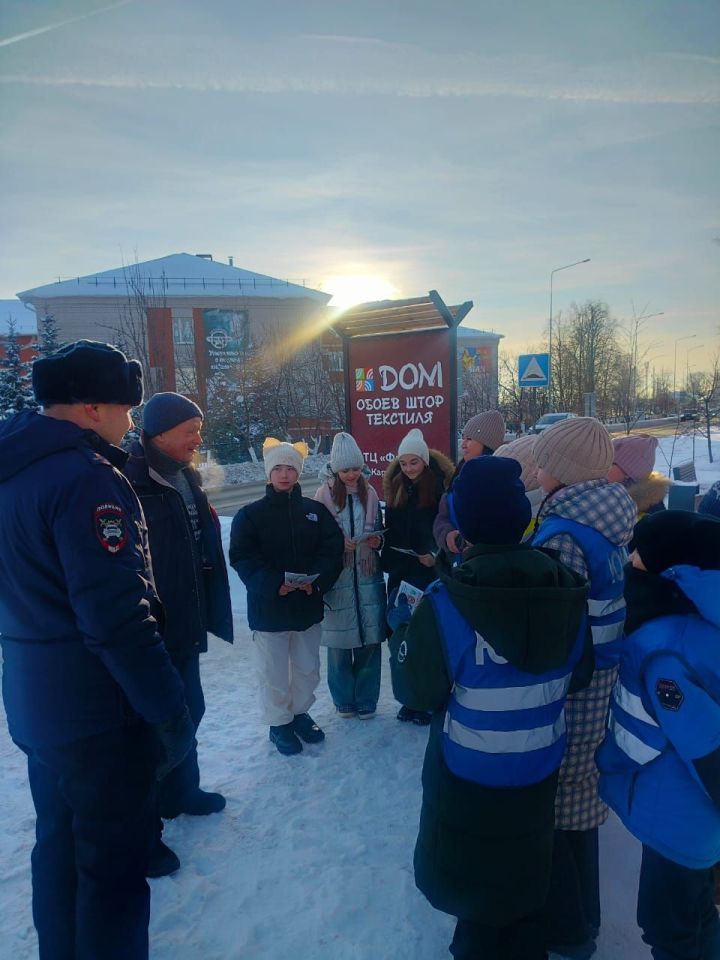 В Агрызе прошла акция «Пешеход»