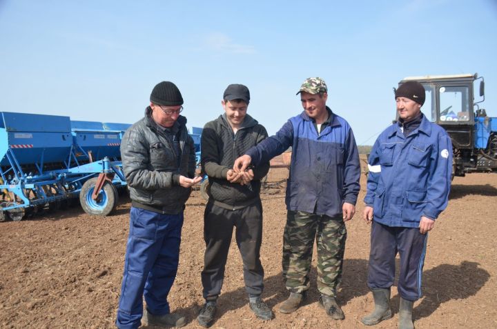 В Агрызском районе «Навруз» первым приступил к севу