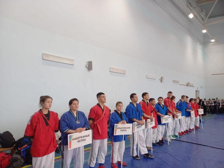 В Агрызе проходит торжественное открытие Чемпионата Республики Татарстан по борьбе на поясах