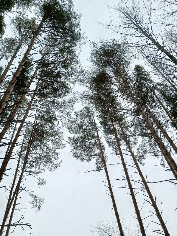 Прогноз погоды на 18 декабря