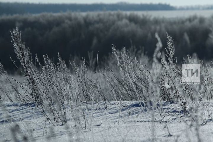Мондый җылы кыштан соң, яхшы уңыш алып булырмы