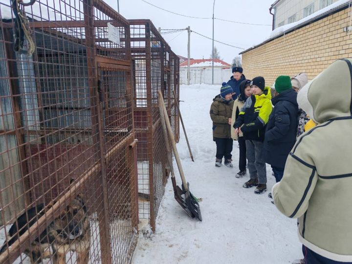 Ученики Иж-Бобьинской школы познакомились с работой полиции и Росгвардии