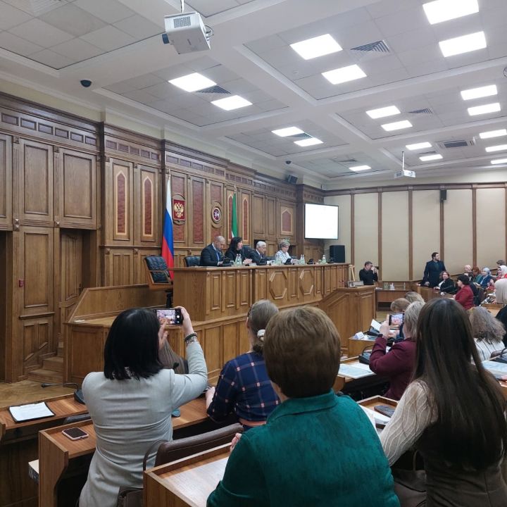 Волонтеры из Агрызского района представили уникальные антидроновые разработки на заседании в Госсовете РТ
