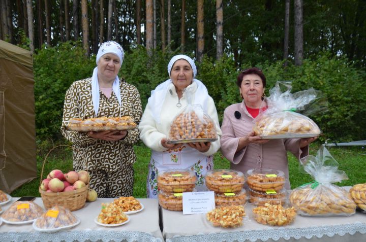 Семейные традиции и пчелиный труд: в Агрызе прошел праздник, посвященный меду