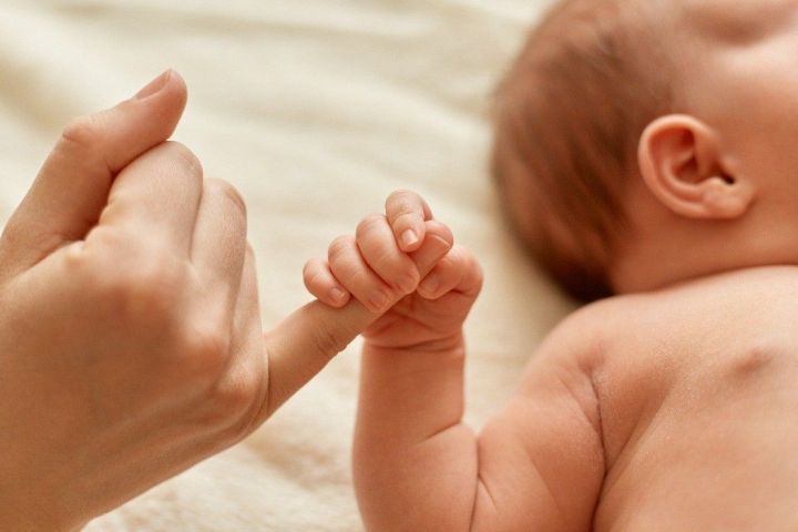 Социаль фондның төбәк бүлеге 2025 елда Татарстаннан килгән йөзләгән студентка йөклелек һәм бала табу буенча пособие түләгән