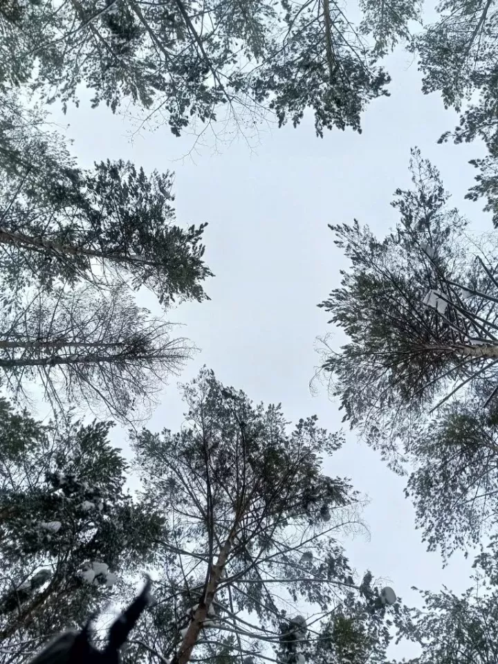 Погода в Агрызском районе на 25 февраля