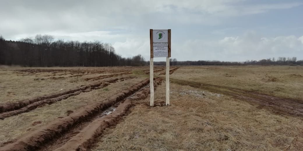 В рамках акции "Сад памяти" в Агрызском районе посажено более 13 000 деревьев