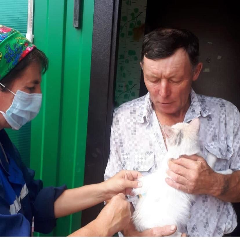 В Агрызском районе приступили к проведению ветеринарно-профилактических и противоэпизоотических мероприятий