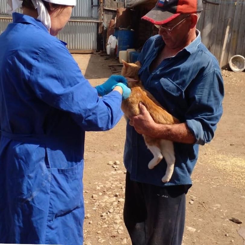 В Агрызском районе приступили к проведению ветеринарно-профилактических и противоэпизоотических мероприятий