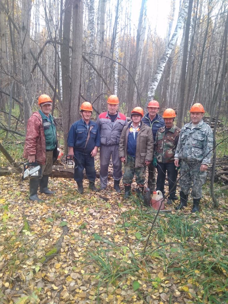 7 человек из Агрыза провели масштабную очистку леса на территории 5 гектаров