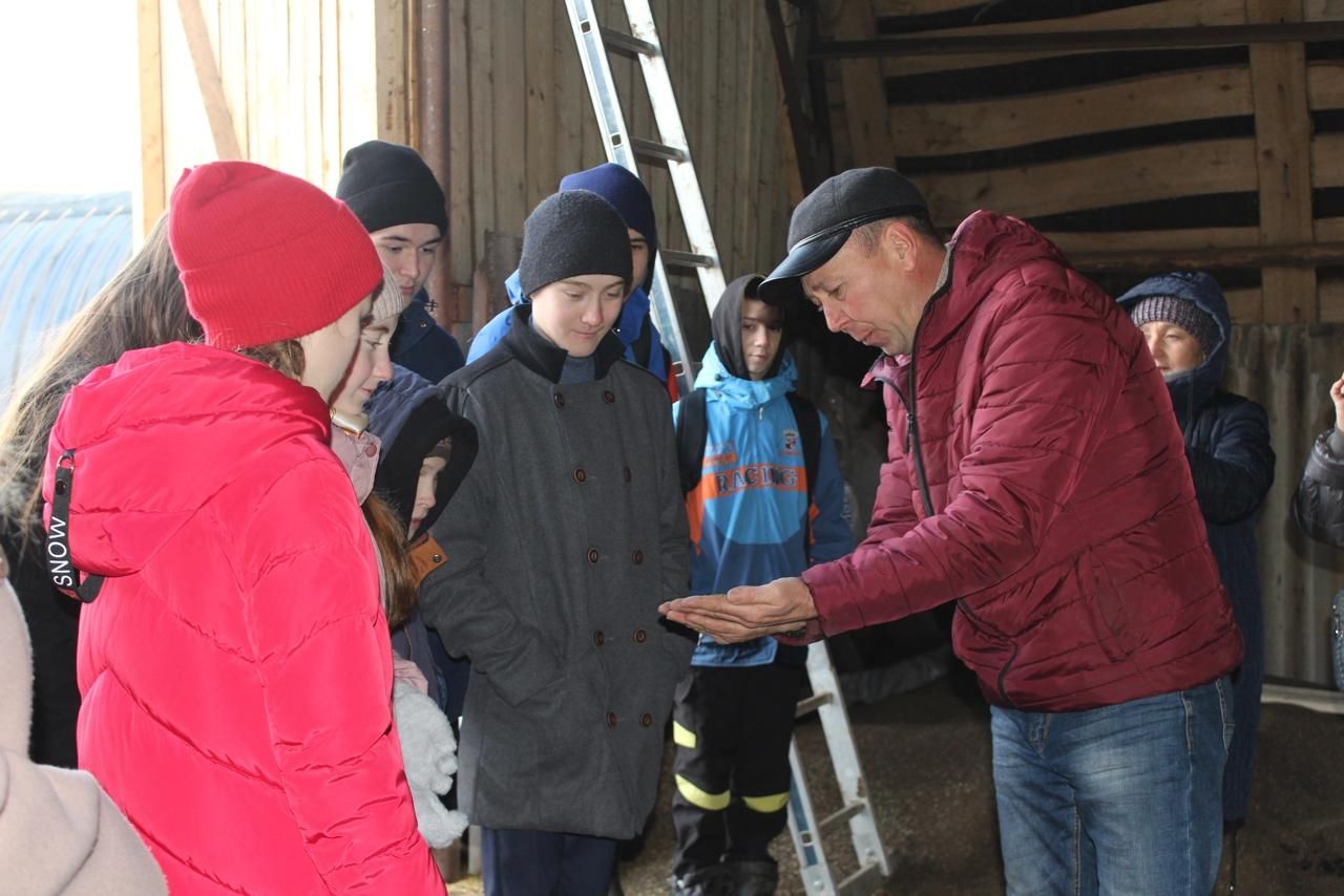 Старшеклассники Агрызского района желают связать свое будущее с АПК