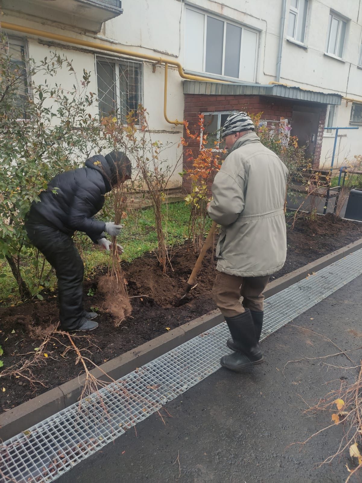 Агрызцы вместе создают красоту во дворах (ФОТО)