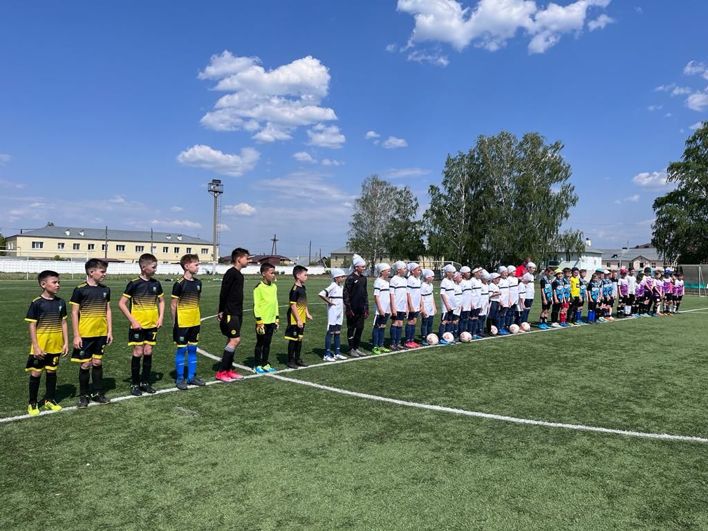 В Агрызе состоялось открытие Первенства РТ по футболу