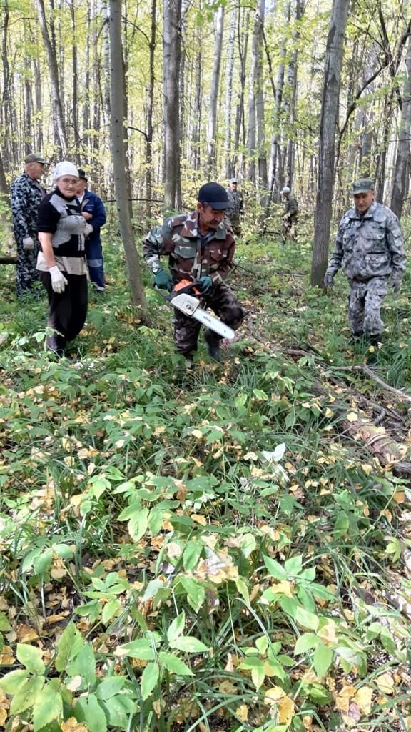 Стартовала осенняя природоохранная акция «Чистые леса Татарстана»