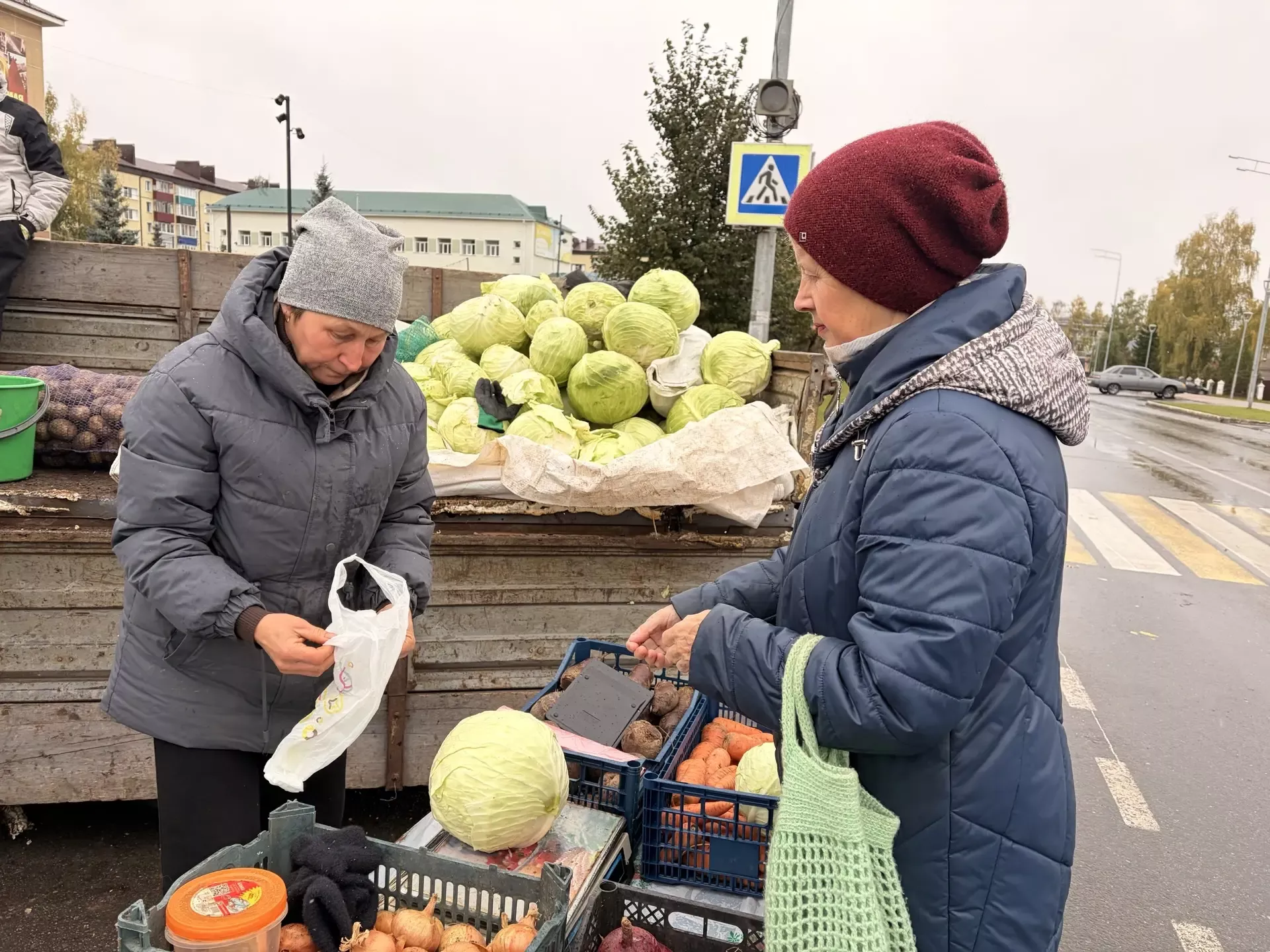 Осенние ярмарки в разгаре!