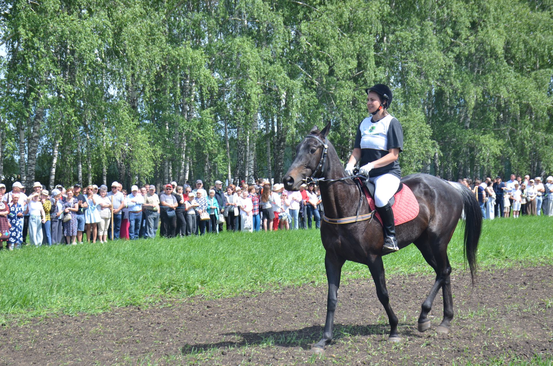 В Агрызе состоялся народный татарский праздник - Сабантуй