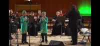 Айнур и Зиннур Абдуллины выступили на одной сцене с известным казанским камерным оркестром