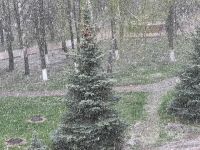 В начале мая в Агрызе выпал снег ВИДЕО
