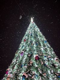 В Агрызе состоится открытие центральной елки