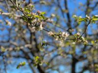 Магнитные бури в марте