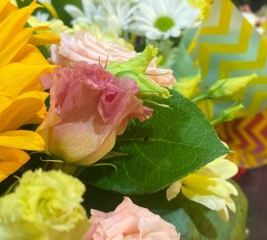 Хөрмәтле гүзәл затларыбыз!