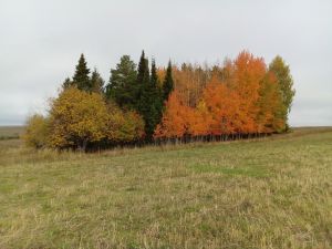 Прогнз погоды в Агрызе на 10 ноября