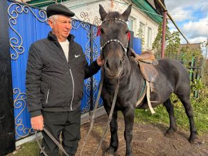 Агрызские коневоды смогут воспользоваться новой республиканской программой