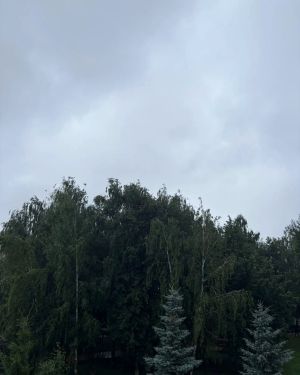 Неустойчивая погода с дождями и грозами задержится в Татарстане до конца недели