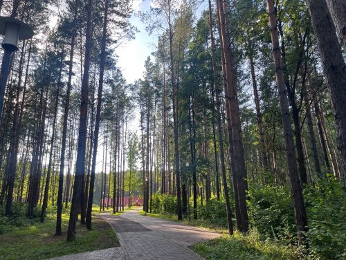 Парк отдыха «Орешник» в Агрызе