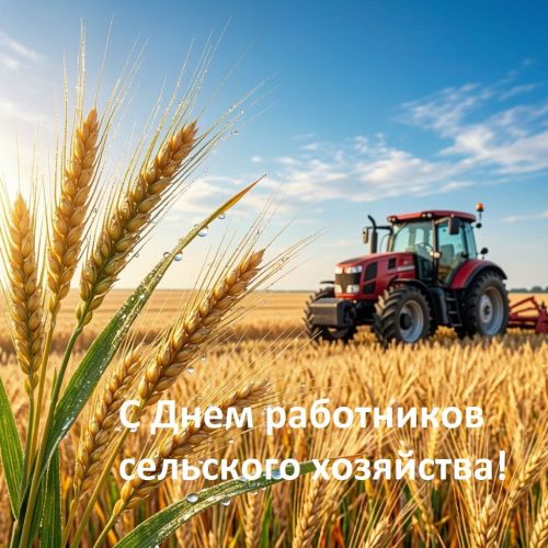 С Днем работников сельского хозяйства!