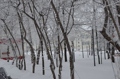 Прогноз погоды на 24 января