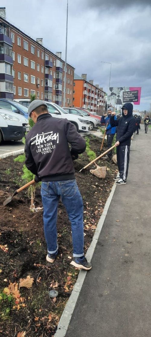 Школьники принимают активное участие в посадке деревьев в Агрызе