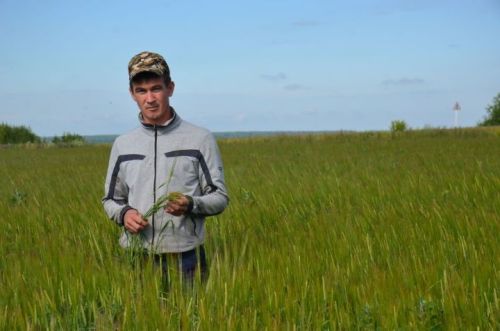 Глава Агрызского  района поделился мнением о реализации нового проекта «Авыл яши – Деревня живет»
