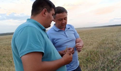 Глава Агрызского района поздравил с Днем работника сельского хозяйства