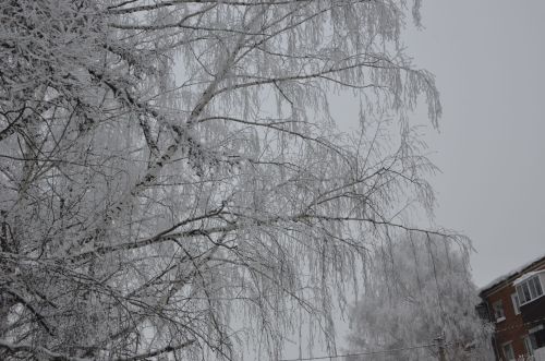 Бүген Татарстанда көчле җил һәм 18 градуска кадәр салкын булуы көтелә
