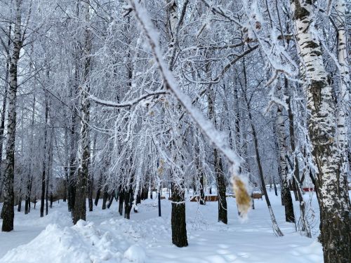 Татарстанда бераз кар һәм җил көтелә