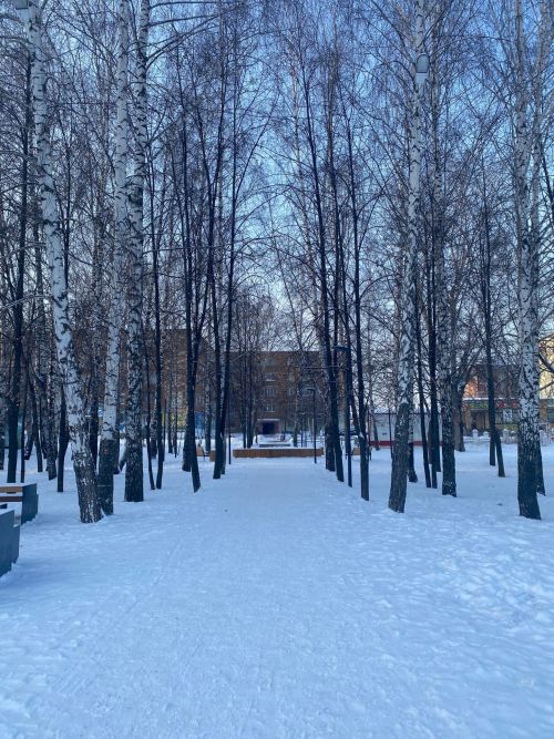 Прогноз погоды на 15 февраля