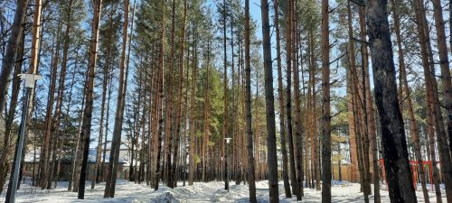 Прогноз погоды на 4 марта