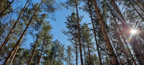Прогноз погоды на 1 апреля