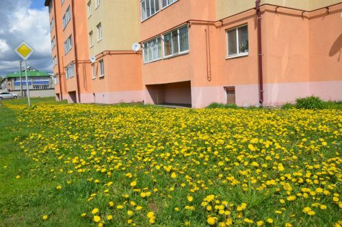 Татарстанда 50 елдан соң яңа температура рекорды куелды