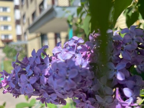 Прогноз погоды на 19 мая