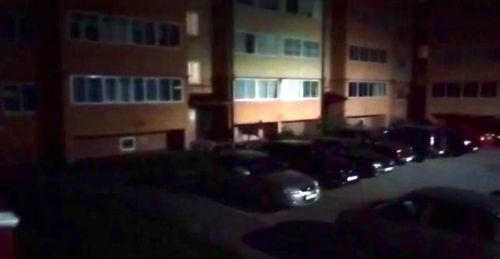 В Агрызе во дворе многоэтажки был замечен лось (ВИДЕО)