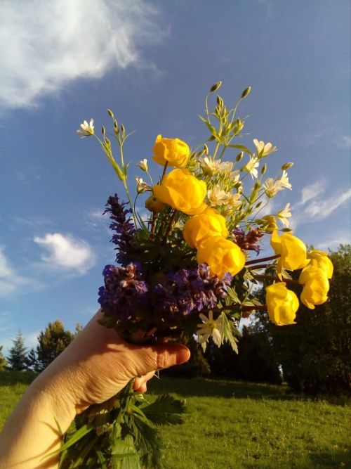 Прогноз погоды на 11 июня