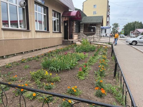 В Агрызе составлено 73 протоколов за нарушения Правил благоустройства